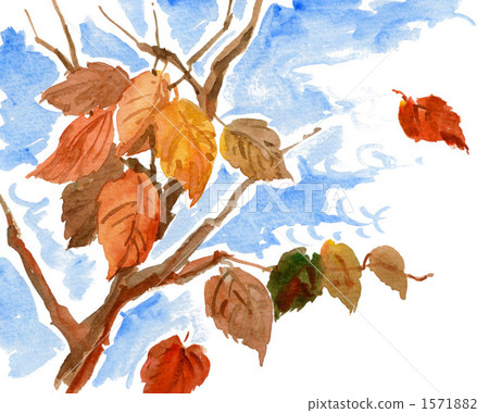 寒冷的寒風 1571882