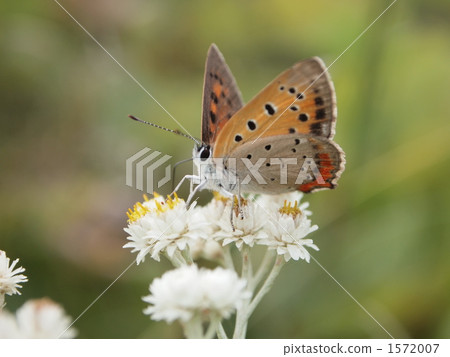 Nice places Nice places 1572007