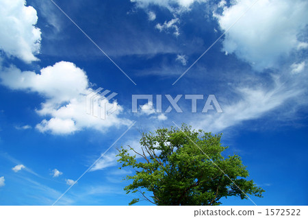 cloudless, fine weather, good weather 1572522