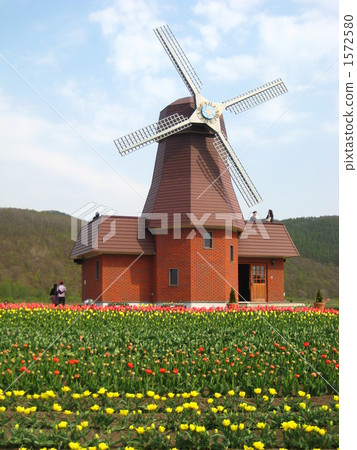 Tulip Park Tulip Park 1572580