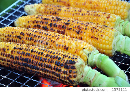 烤玉米 1573111