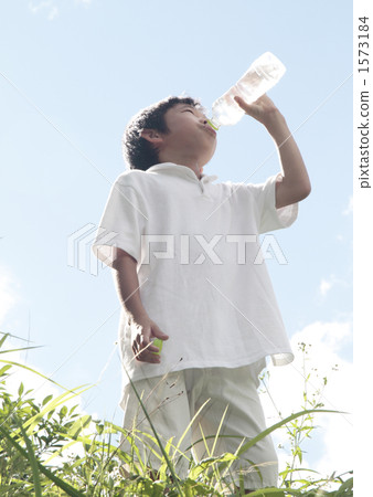 hot summer 1573184