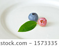 藍莓 1573335