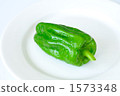 青椒 1573348