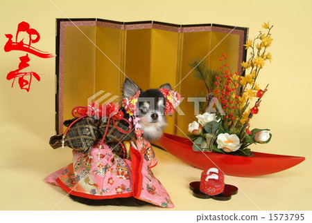 春天的角落 1573795