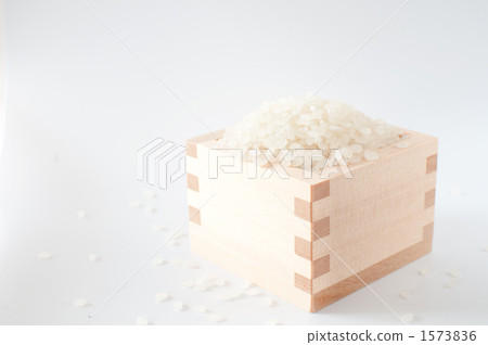 大米和竹子 1573836