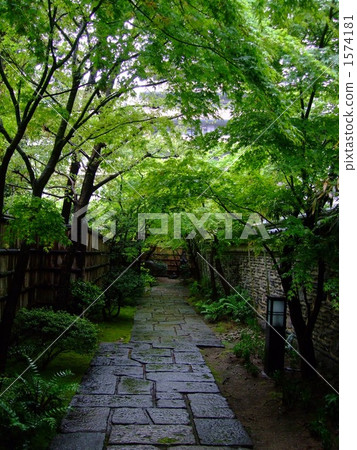 stone pavement, tea garden, bare earth 1574181