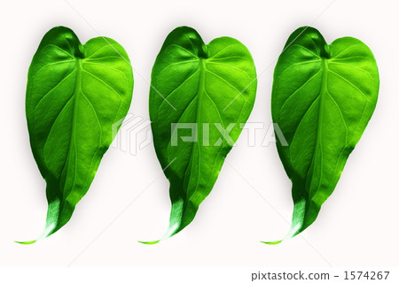 Kwazu imo Kwazu imo 1574267