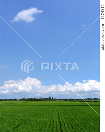 稻田景觀 1574513