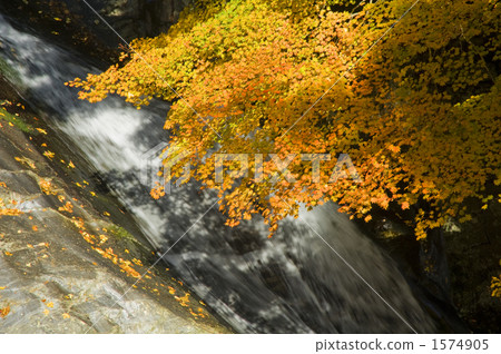 Autumn days Autumn days 1574905