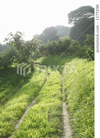 農場道路車轍 1575096