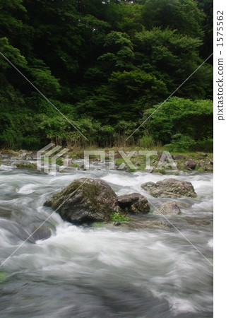 清川川的流動 清川川的流動 1575562