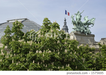 Marronnier before the Grand Palais Marronnier before the Grand Palais 1575695