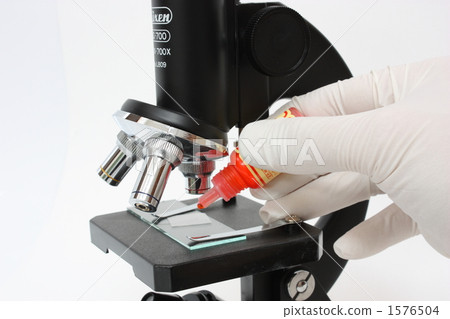 microscope microscope 1576504