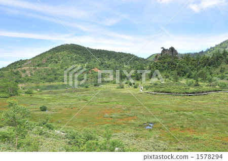 Yuikei（Kusatsu Shiraneyama） 1578294