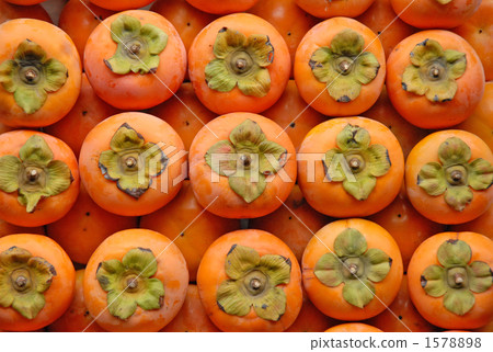 柿子 柿子 1578898