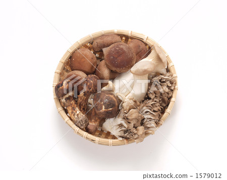 Mushroom set 1579012