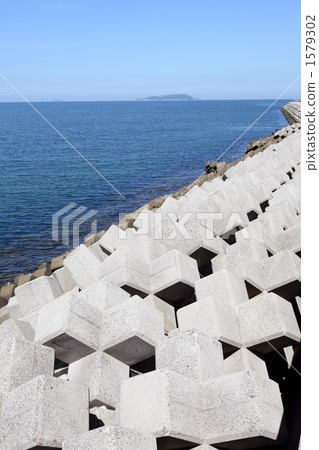 Tetrapod Tetrapod 1579302