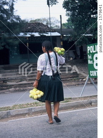 Child of fruit selling 1579641