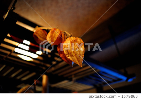 果實帥氣 果實帥氣 1579863