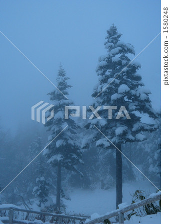 Scenery of the North Alps 1580248