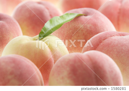 桃子 桃子 1580281