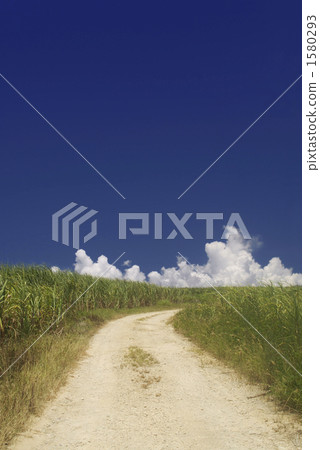 沖繩·宮古島的甘蔗田和雲層 1580293