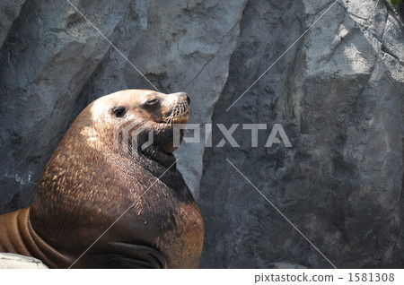 Todo的個人資料 Todo的個人資料 1581308