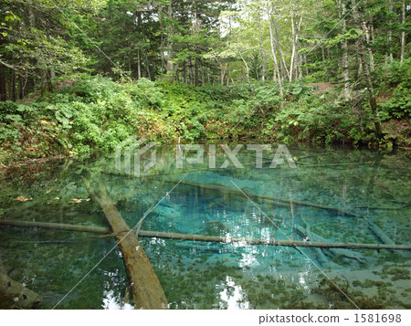 上帝的池塘 1581698