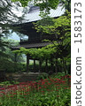 花寺吉祥寺 1583173