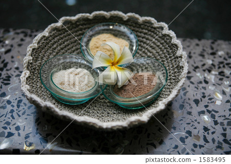 powder, basket, bloom 1583495