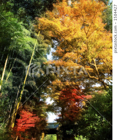 寺院 門 大門 1584427