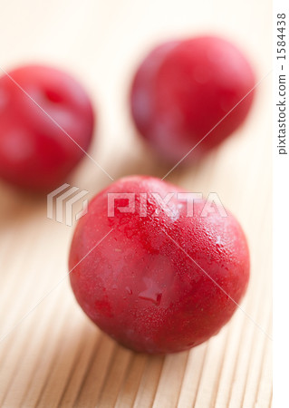 Plum 1584438