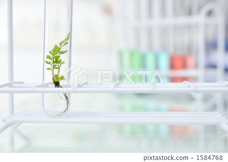 生物技術 生技 生技產業 1584768