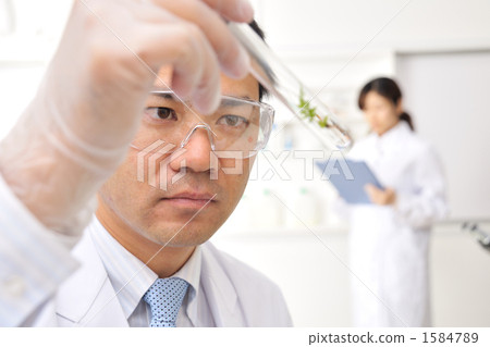 培養皿 培養液 細胞 1584789