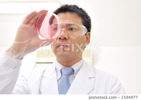 researcher, petri dish, clinical testing on patients 1584977