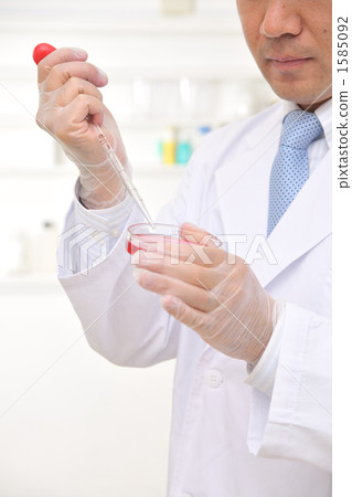 pipette, pipet, petri dish 1585092