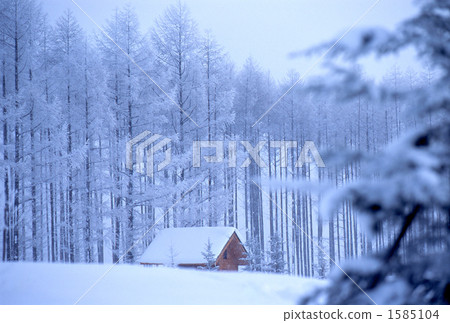 Winter landscape, winter scenery, snow scene 1585104
