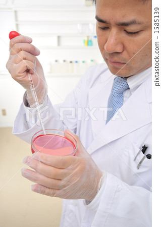 研究人員 有蓋培養皿 培養皿 1585139