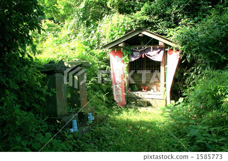 參觀沒有人參觀的Karasumori Inari Shrine 1585773