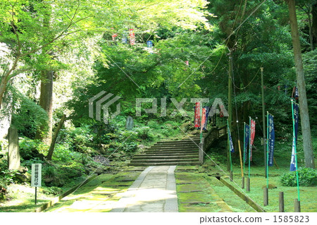 Following a warm approach to Hanzakuri Following a warm approach to Hanzakuri 1585823