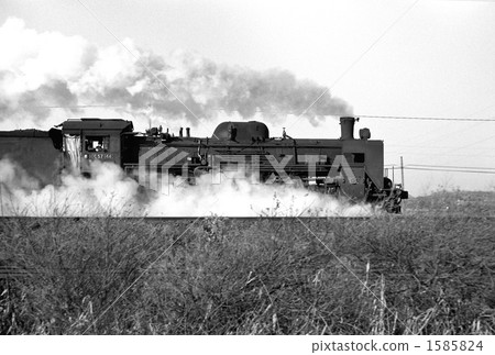 steam locomotive, steam locomotives, S L 1585824