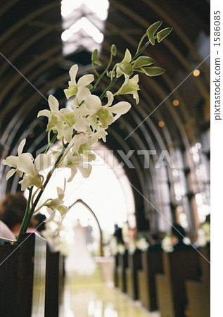 Happy adding flowers 1586085