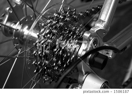 公路自行車後鏈輪 1586187
