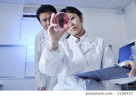 reagents, reagent, petri dish 1586417