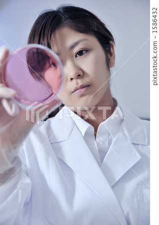 researcher, petri dish, research development 1586432