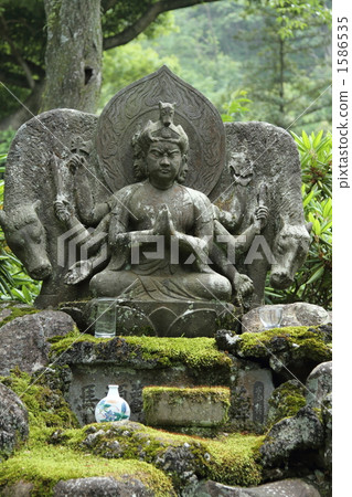 馬頭感覺② 1586535