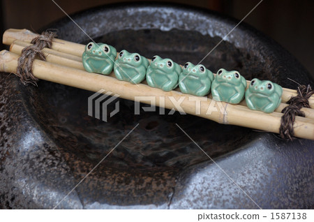 6只青蛙 1587138