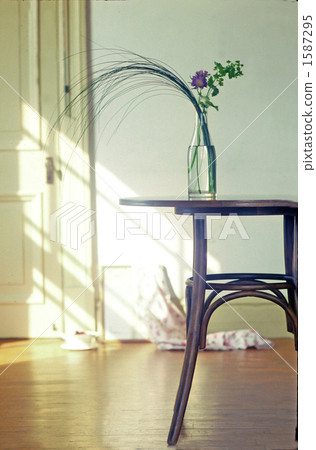 flower vase, cut flowers, wildflower 1587295