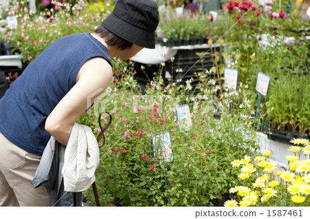 Gardening city 1587461